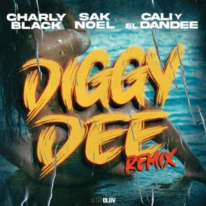 Charly Black Ft. Sak Noel, Cali Y El Dandee – Diggy Dee (Remix)